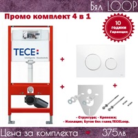 TECE-LOOP-BIAL (1)